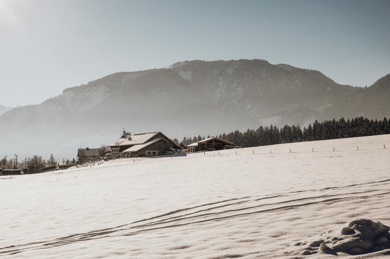 Appartamento Bergblick Saalfelden Esterno foto