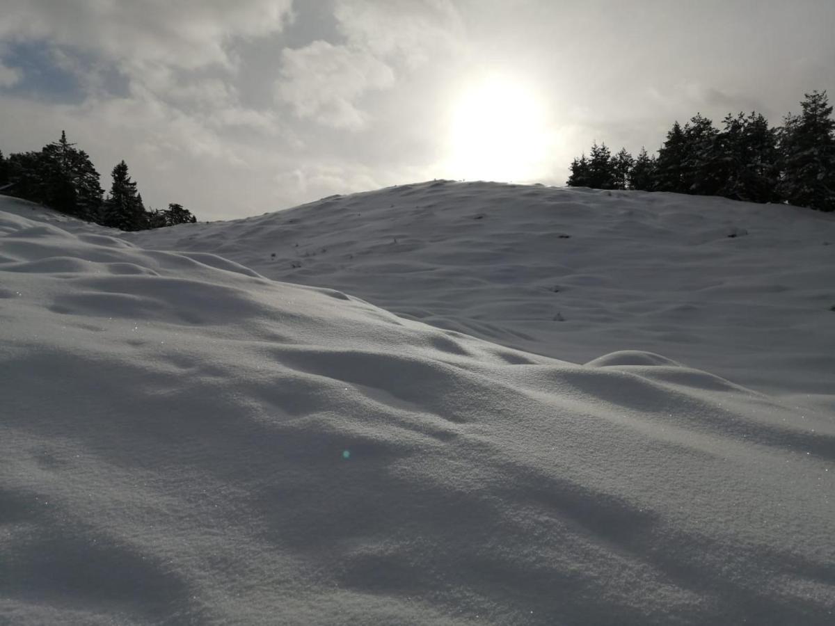 Appartamento Bergblick Saalfelden Esterno foto