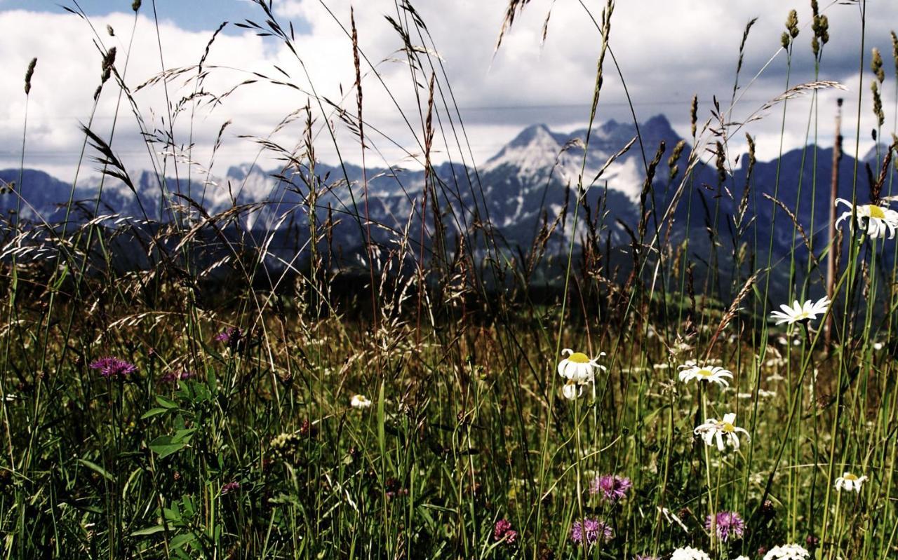 Appartamento Bergblick Saalfelden Esterno foto