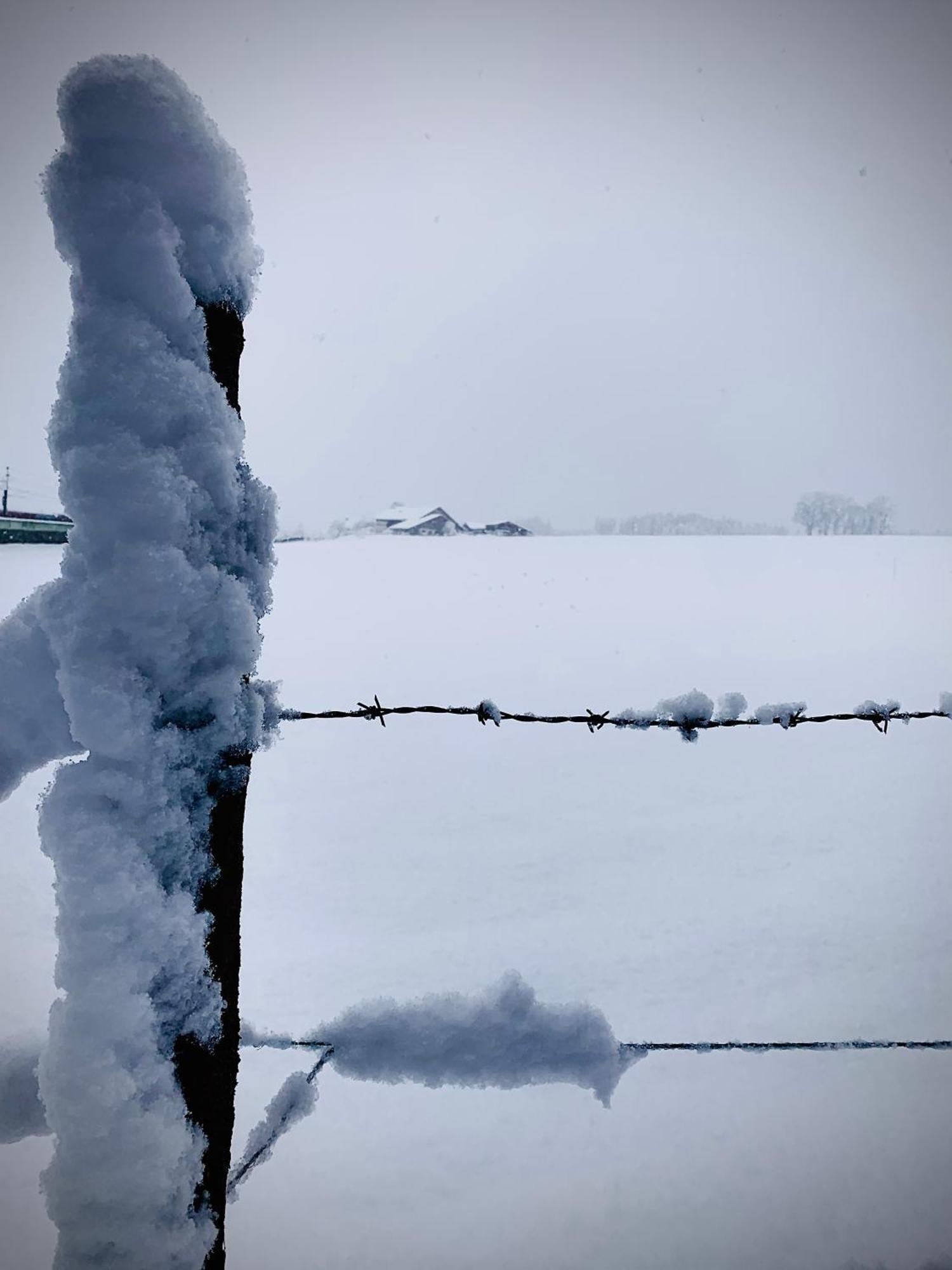 Appartamento Bergblick Saalfelden Esterno foto